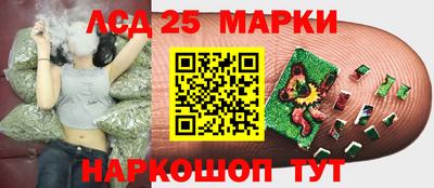 соль ск Кандалакша