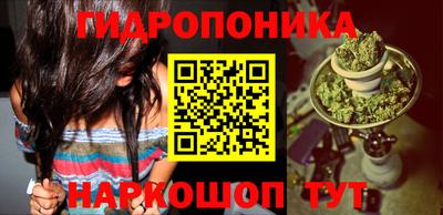 круглые Камышлов