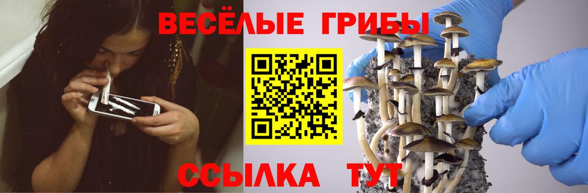 Псилоцибиновые грибы прущие грибы Первоуральск
